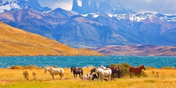 Minunea Americii de Sud: Chile, un paradis natural