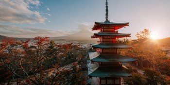 Japonia, țara contrastelor: temple antice, orașe fantastice și roboți
