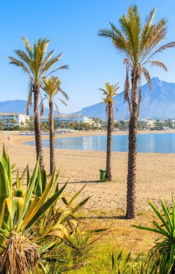 Marbella and the Jet Set of the 20th Century