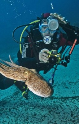 Expeditie submarina in Serifos