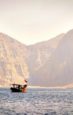 Fjords and Dolphins in Musandam 
