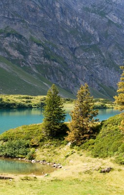 Scooter Trotti at Trübsee